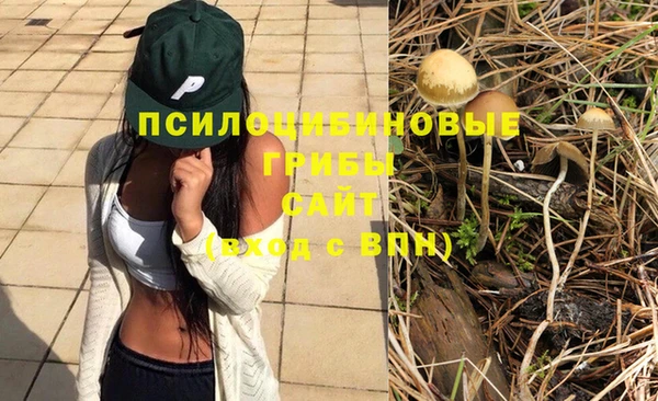 метамфетамин Белокуриха
